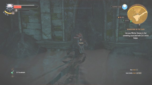 First Sign of Find Something ascociated with Ciri's horse Kelpie in Wandering in the Dark in Witcher 3 Wild Hunt.