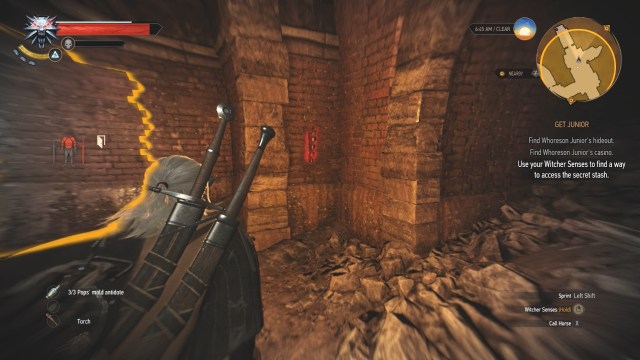 This switch opens the door to the secret room in Get Junior in Witcher 3 Wild Hunt.