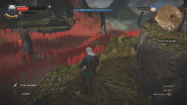 Find the next passage in Throughout Time and Space in Witcher 3 Wild Hunt.